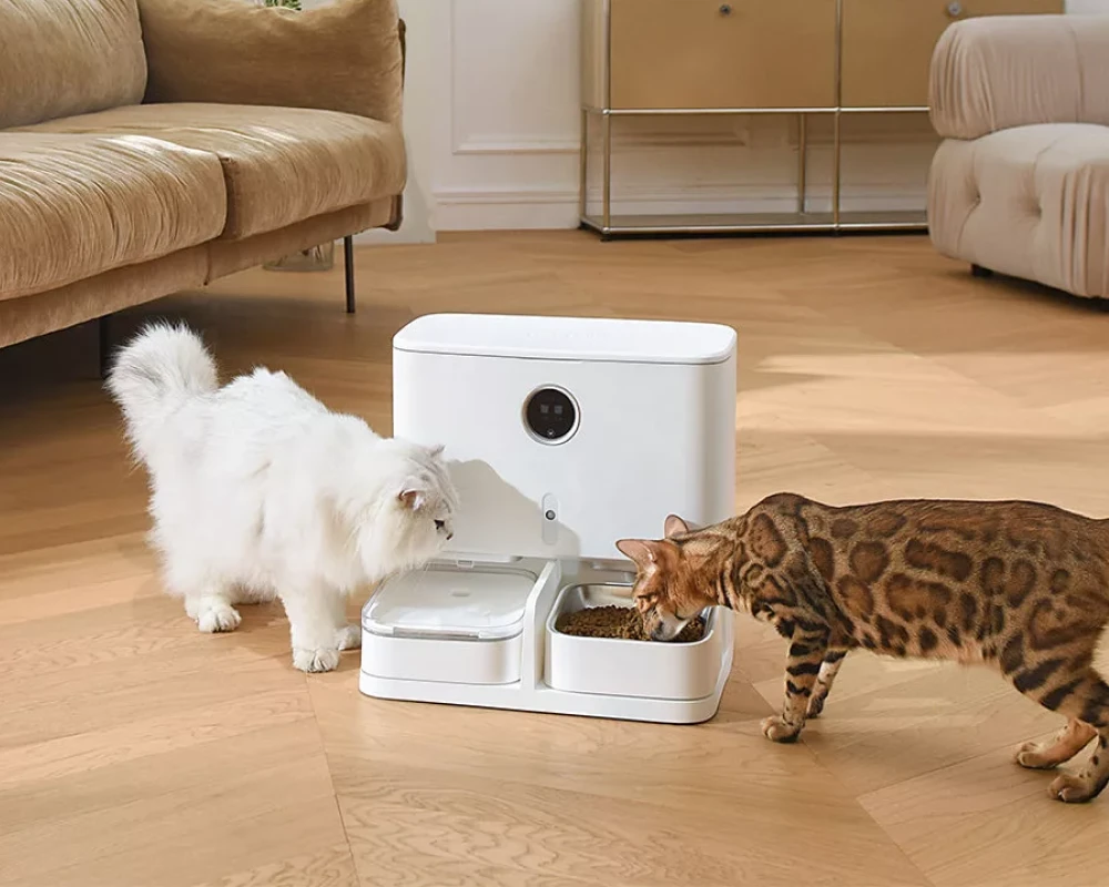 pet food automatic dispenser