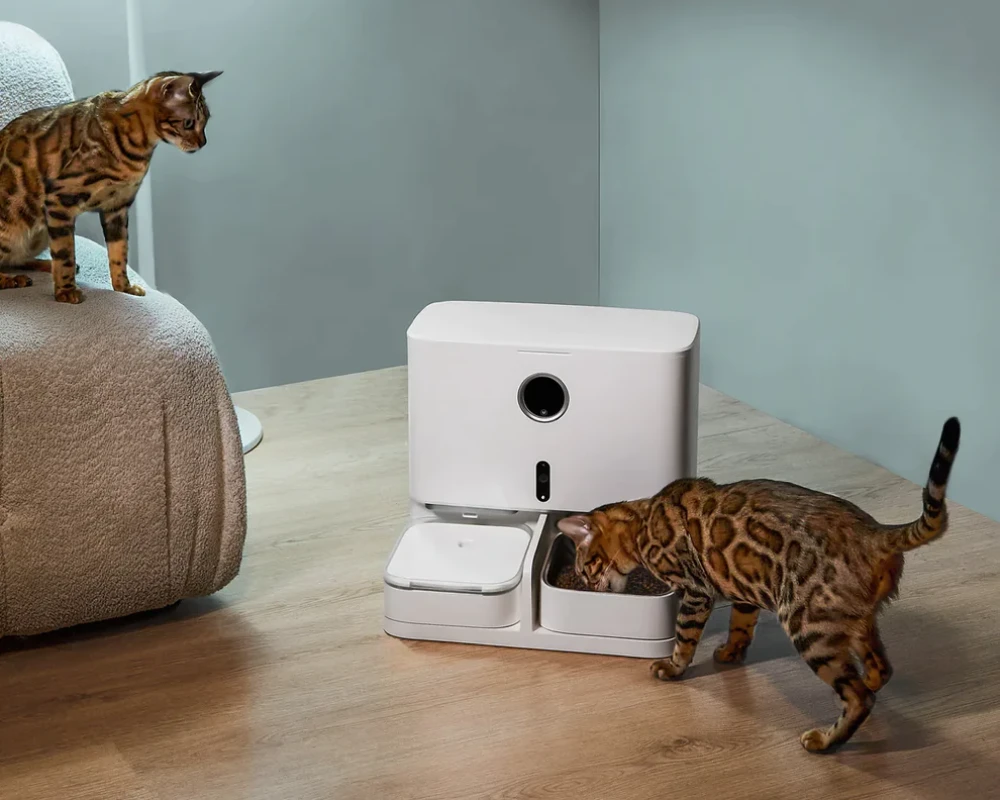 smart pet feeder with camera