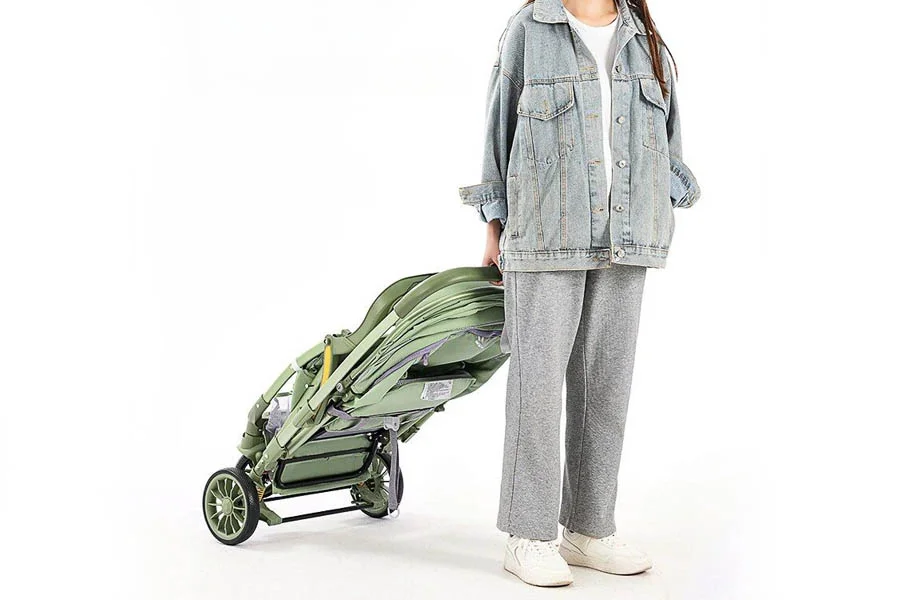 Landscape-View Stroller